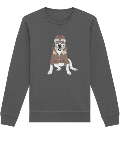 Women's Bull Terrier Aviator Sweater