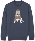 Sweater Bull Terrier Aviator