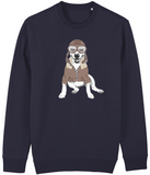 Sweater Bull Terrier Aviator